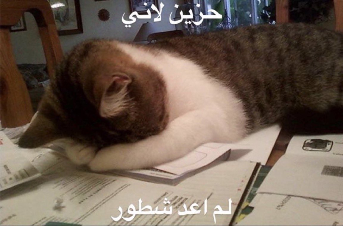 ما أبكي على إي شي 

بس يبكيني إي شي يخليني 
أحس إني less genius