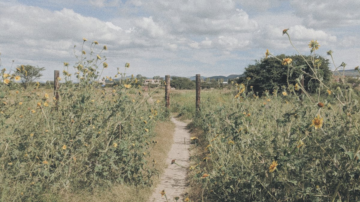 Danny Roddy tweet media