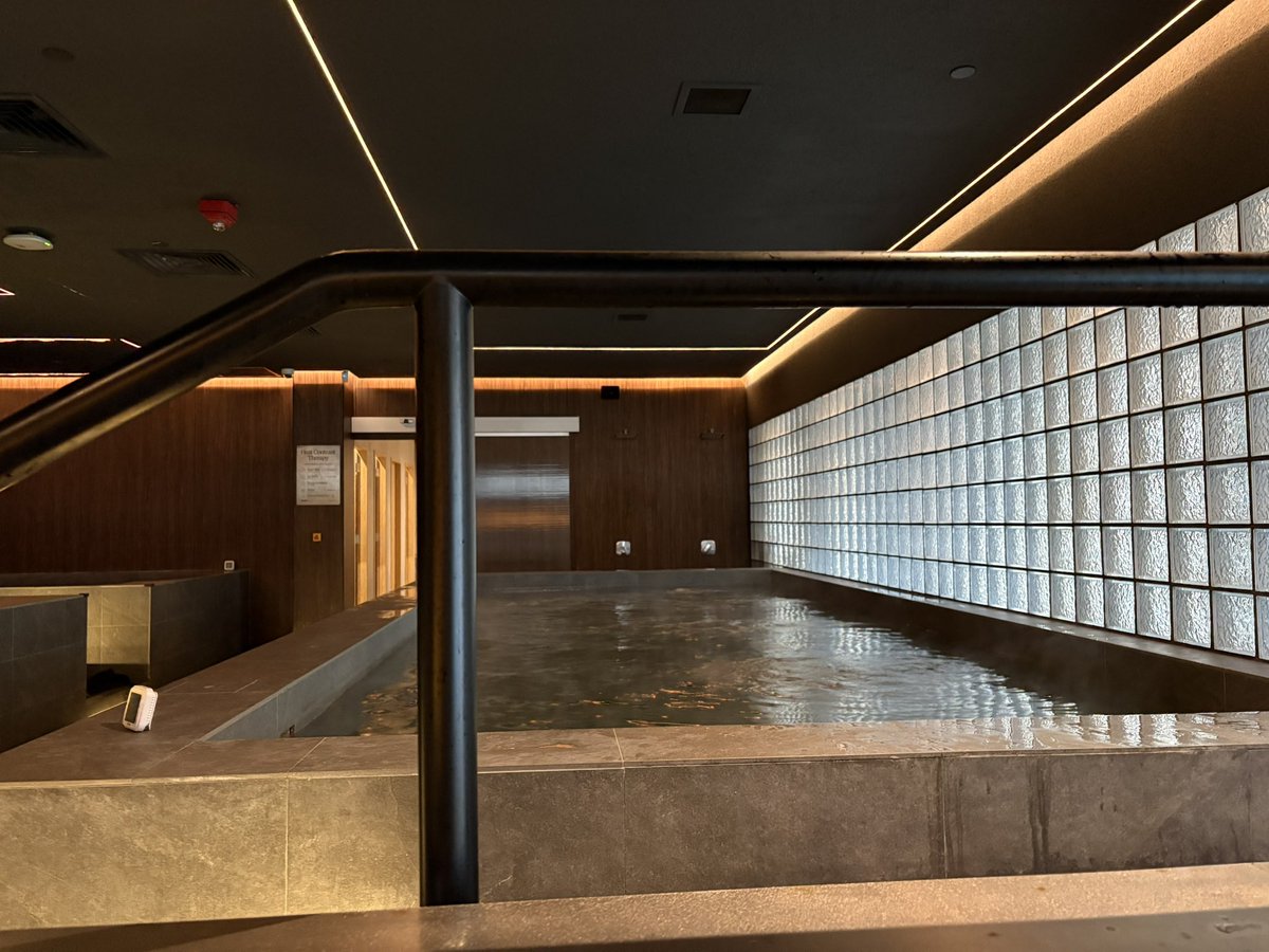 Zelig Dhi Lee tweet media