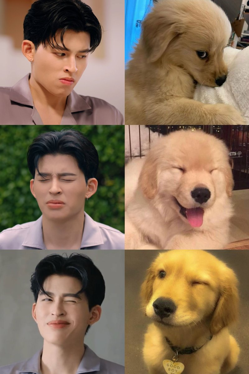 โกเด้นบ๊องๆของน้องพีช🐶🫳🏻

#MeAndTheeSeriesEP6