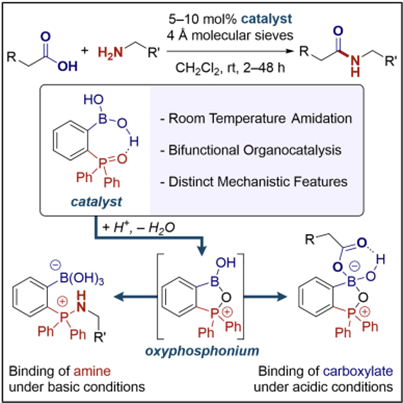 Scott Bagley tweet media