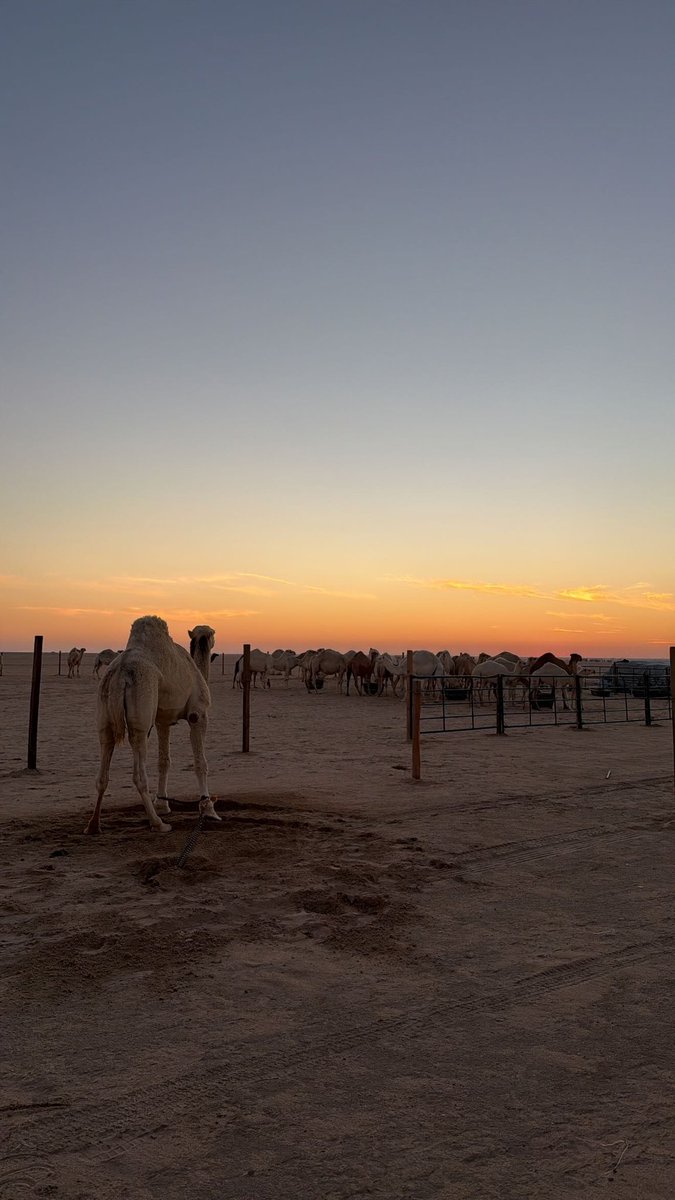 2ib's tweet image. Hard day ..