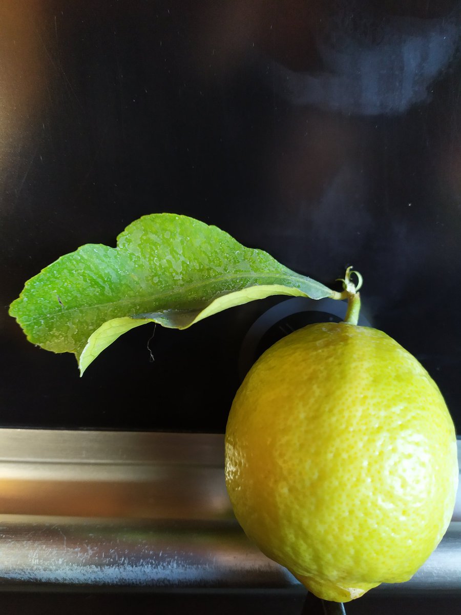 La mia pallina per l'albero di Natale.