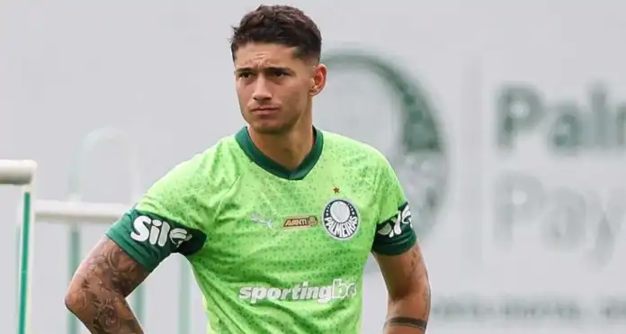 Portal do Palestra | Palmeiras tweet media