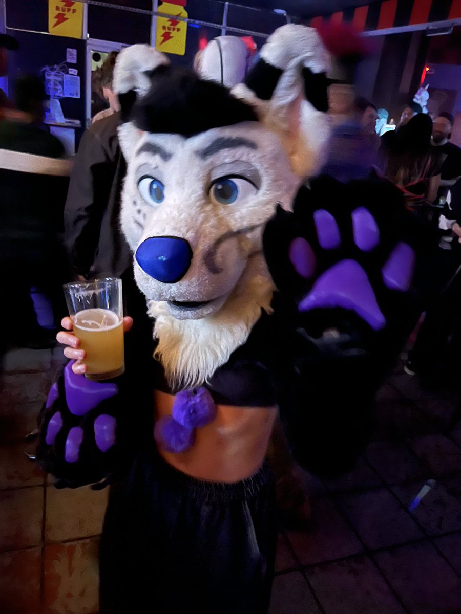 ForteTX's tweet image. met this lil cutie pie last night, she got to wear Forte around 🥰