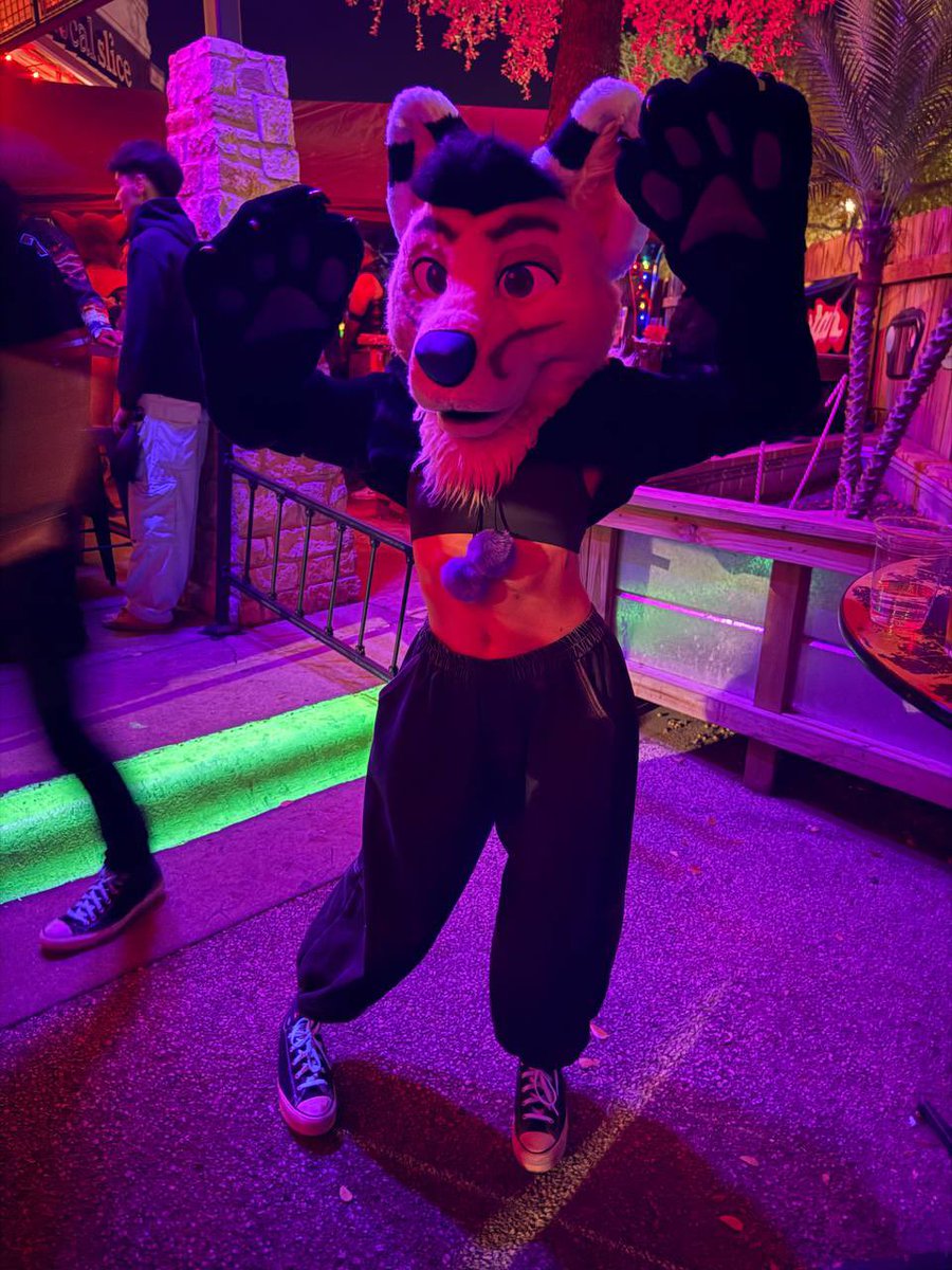 ForteTX's tweet image. met this lil cutie pie last night, she got to wear Forte around 🥰