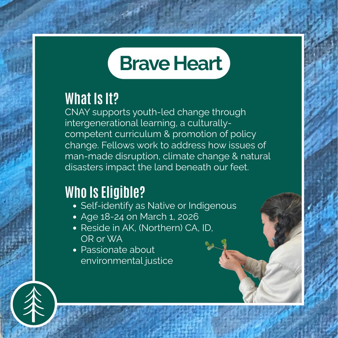 Center4Native's tweet image. Apply to be a 2026 𝑪𝑵𝑨𝒀 𝑭𝑬𝑳𝑳𝑶𝑾 by January 14 🗓️

Click through to learn more about the program, eligibility &amp;amp; how to apply. Which cohort do you want to join? Brave Heart, Remembering Our Sisters or CA Native Youth Collective?🌲❤️🐻

Link in our bio to get started 🔗