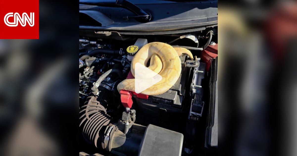 رائحة غريبة تقود رجلًا من نوكسفيل إلى اكتشاف ثعبان ضخم تحت غطاء محرك سيارته وسط ذهول عائلته 