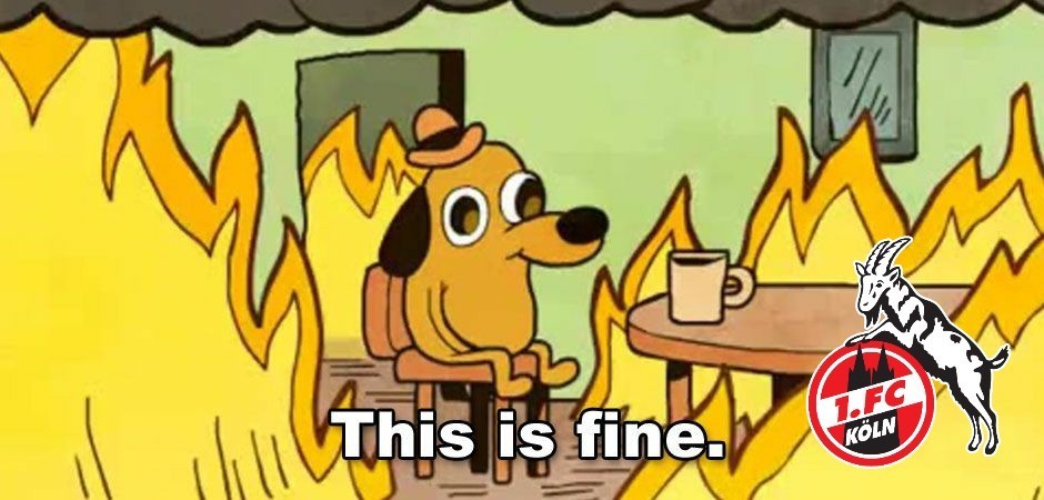 cgn13021948's tweet image. 