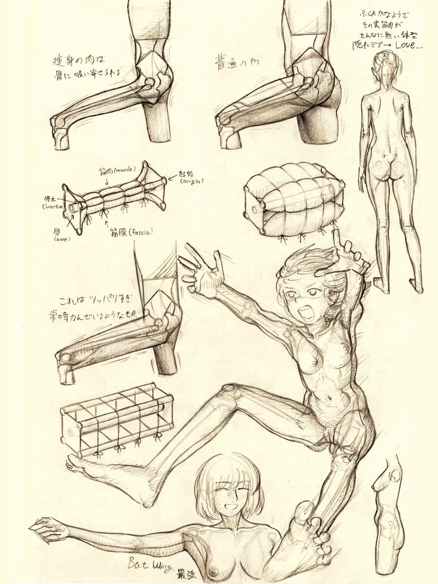 痩身は、骨格構造と筋肉の形状、起始停止を理解した上で骨に向かって細く吸い寄せるように描くのが一番上手くいくと思ってる

あと隠れ肥満の特徴的なシンボルを描くのにも大いに役立つ 