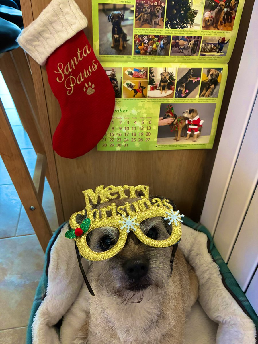 Some furs will do anything for a gravy bone 😉🤣🐾🐾