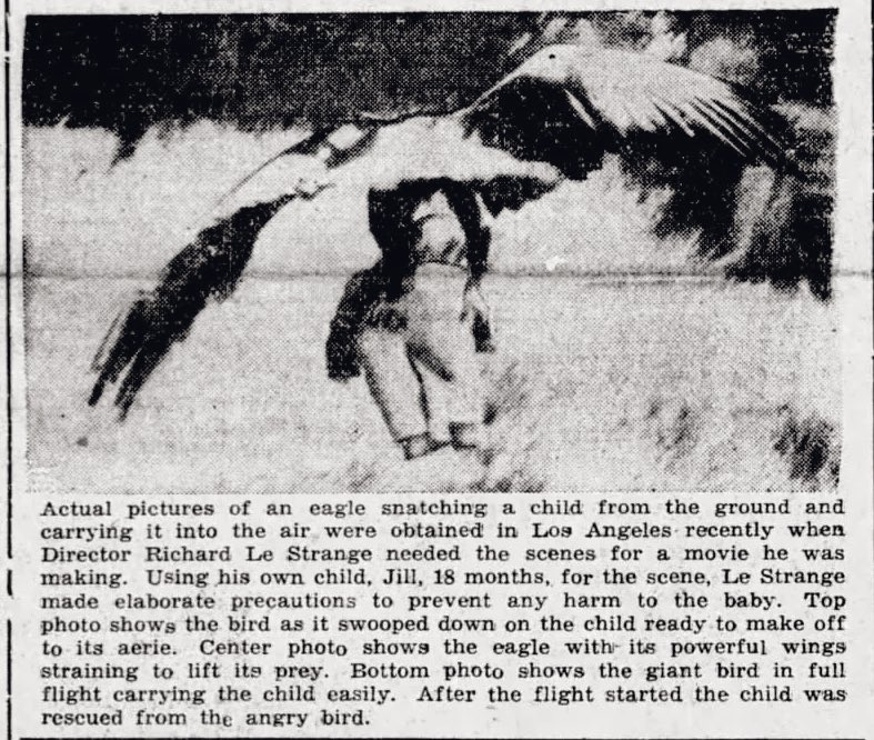 Eagle Kidnaps Baby

Nevada State Journal, Reno, Nevada · Saturday, April 24, 1937