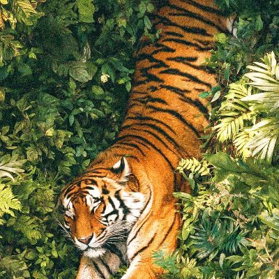 𑀅 𑀝 𑀇 𑀓𑁆 𑀓 𑀮 𑀫𑁆 𑀉 𑀝 𑀇 𑀬 𑀸 𑀷𑁆 tweet media