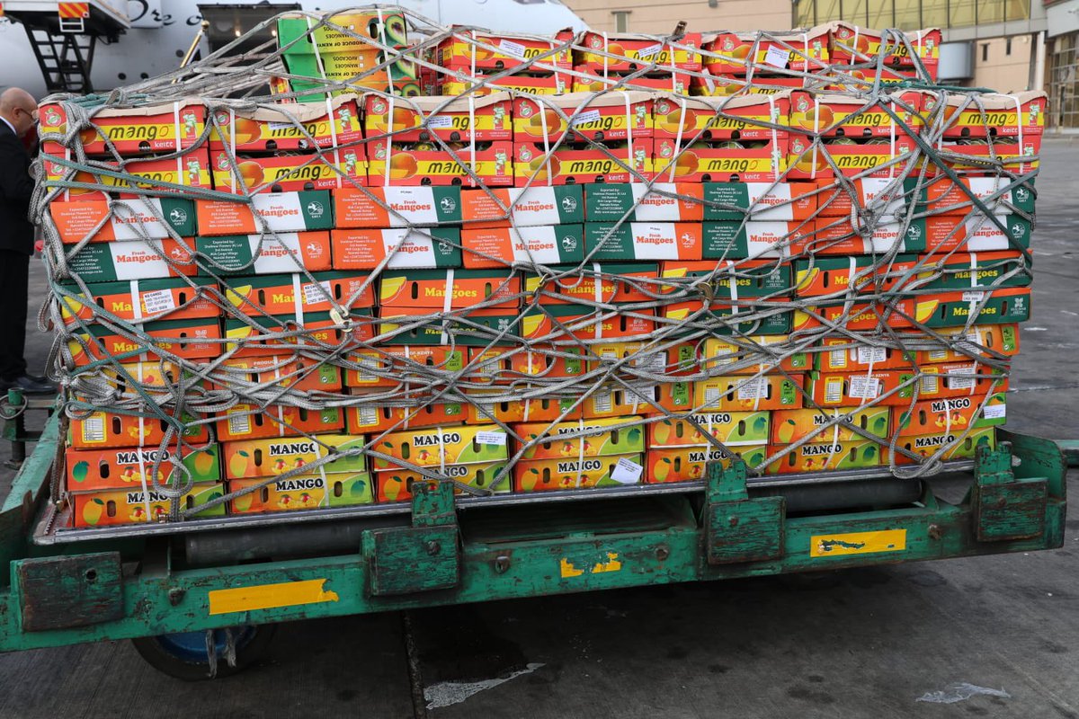 Trade_Kenya's tweet photo. Kenya has flagged off the first consignment of apple mangoes to the United Kingdom marking a major milestone in the country’s fresh produce exports.

Speaking on behalf of the Principal Secretary for Trade Regina Ombam during the flag off at the Jomo Kenyatta International Airport,the CEO,KEPROBA Floice Mukabana reaffirmed the government’s commitment to supporting apple mango farmers in accessing global markets, aligning with Kenya’s strategy to promote value addition, enhance competitiveness and expand opportunities for local farmers.

Mukabana said the consignment,a pilot project,will pave the way for sustained exports and emphasized the need for collaboration among farmers and stakeholders to standardize the commodity and ensure compliance with international quality and safety standards.

Present also was the Country Director for TradeMark Africa Lilian Mwai who highlighted the significance of opening new markets like the UK, which offers vast opportunities for job creation and increased incomes across the mango value chain.

Kenya Airways Acting Chief Executive Officer Captain George Kamal, assured exporters of the national carrier’s continued support through reliable and efficient air cargo services to international destinations, reinforcing the airline’s role in promoting Kenya’s exports.

This flag-off signals Kenya’s growing footprint in high-value export markets and reflects strong collaboration between government agencies, development partners and the private sector to boost agricultural exports.
@KenyaAirways @TradeMarkAfrica @FPEAK_ @OfficialKQCargo