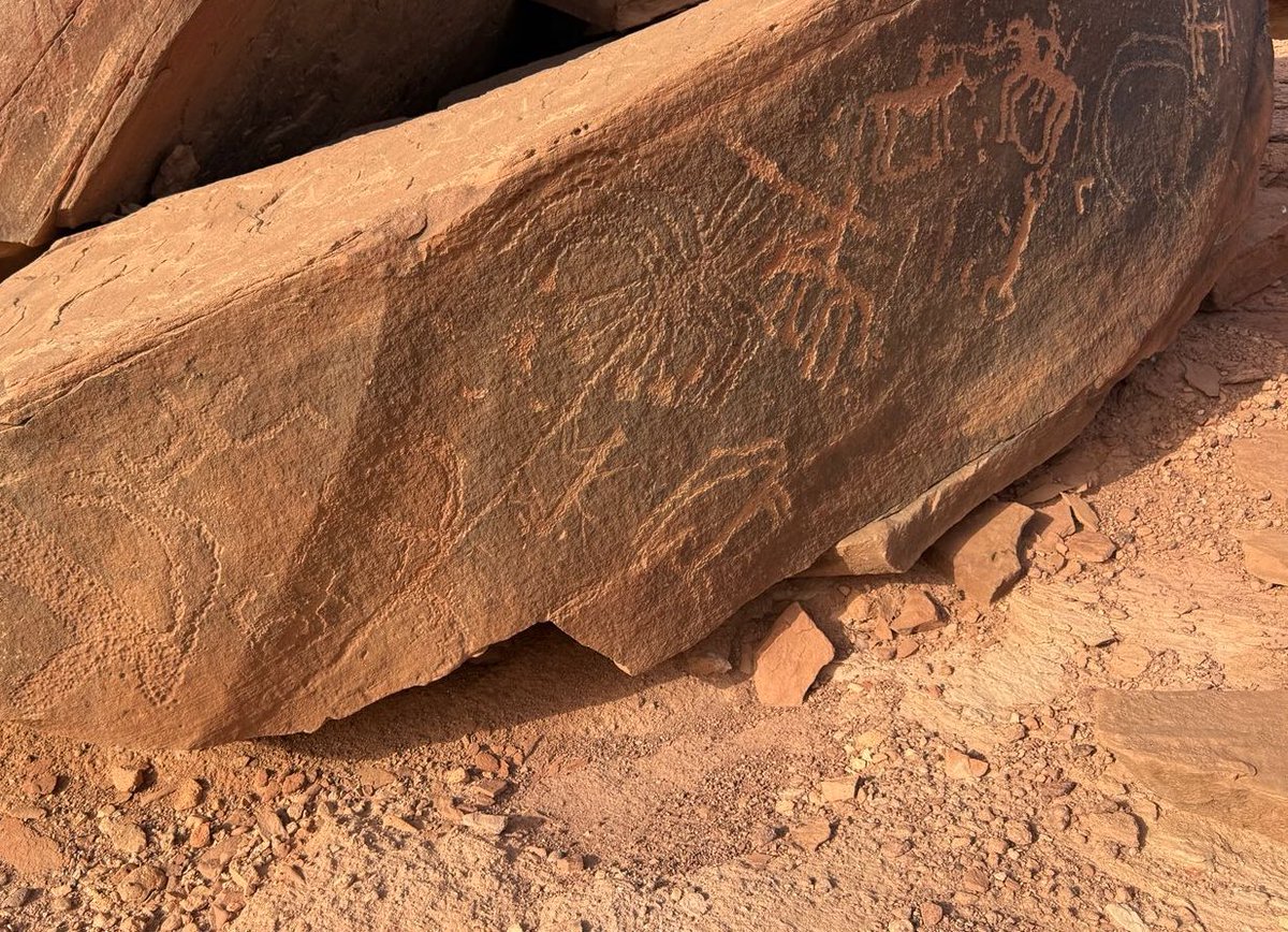 � جدّاد النخيل (صرام النخل)
هو من يقطف ثمر النخيل عند نضجه.

ويُعدّ الجدّاد الثمودي الحائلي جف بن عت وتيم من أقدم من عُرفت أسماؤهم في هذا النشاط الزراعي، إذ خُلِّدت أسماؤهم على صخور جبال حائل، بما يدل على أن منطقة حائل كانت واحة زراعية مزدهرة قبل نحو 2700 سنة، وليست مجرد ممر