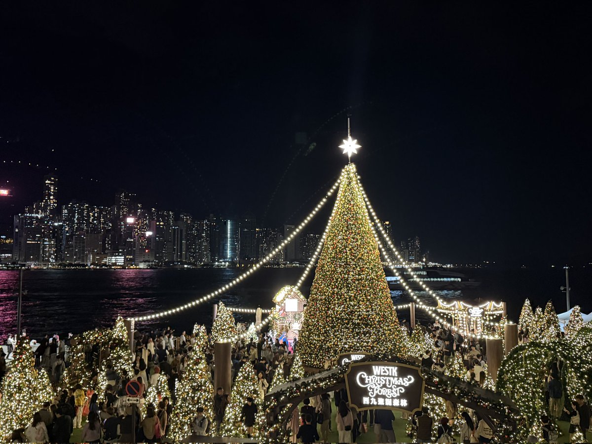 Elysia Yang tweet media