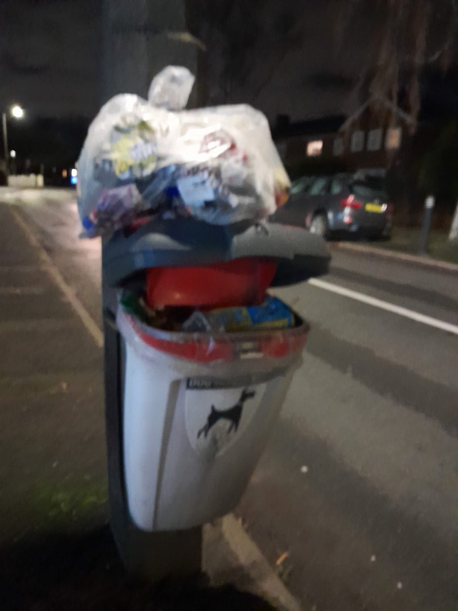 Litterwatch1's tweet image. The Hamstead Dream Team (Kay, Geoff &amp;amp; Gizmo) just finished a busy afternoon of "Step-Litter-Walking."
​The goal: 10k steps. The result: 4 bags of rubbish, 3 tired sets of legs, and one very confused dog who thinks we’re collecting trophies.
#sandwell #volunteers #dogwalking