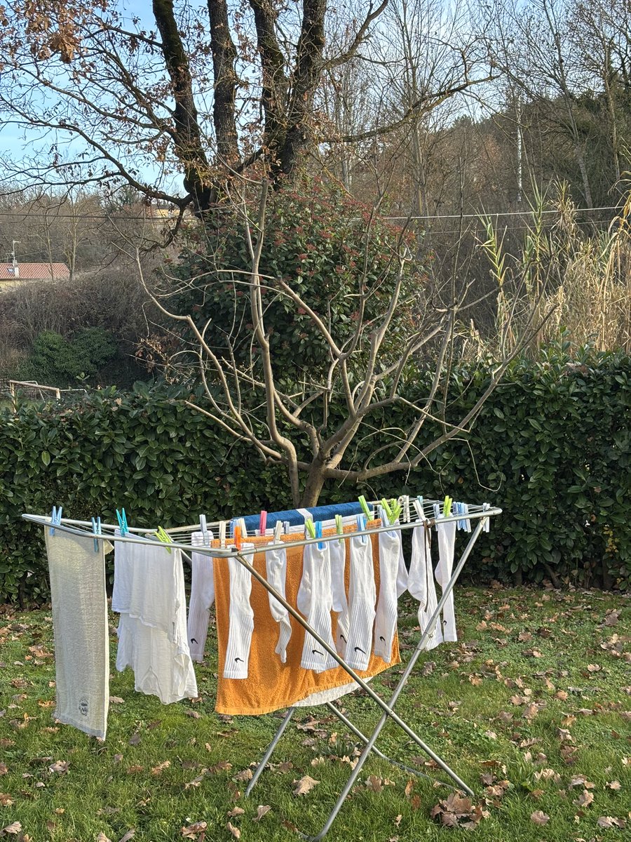 Fil 🙊 tweet media