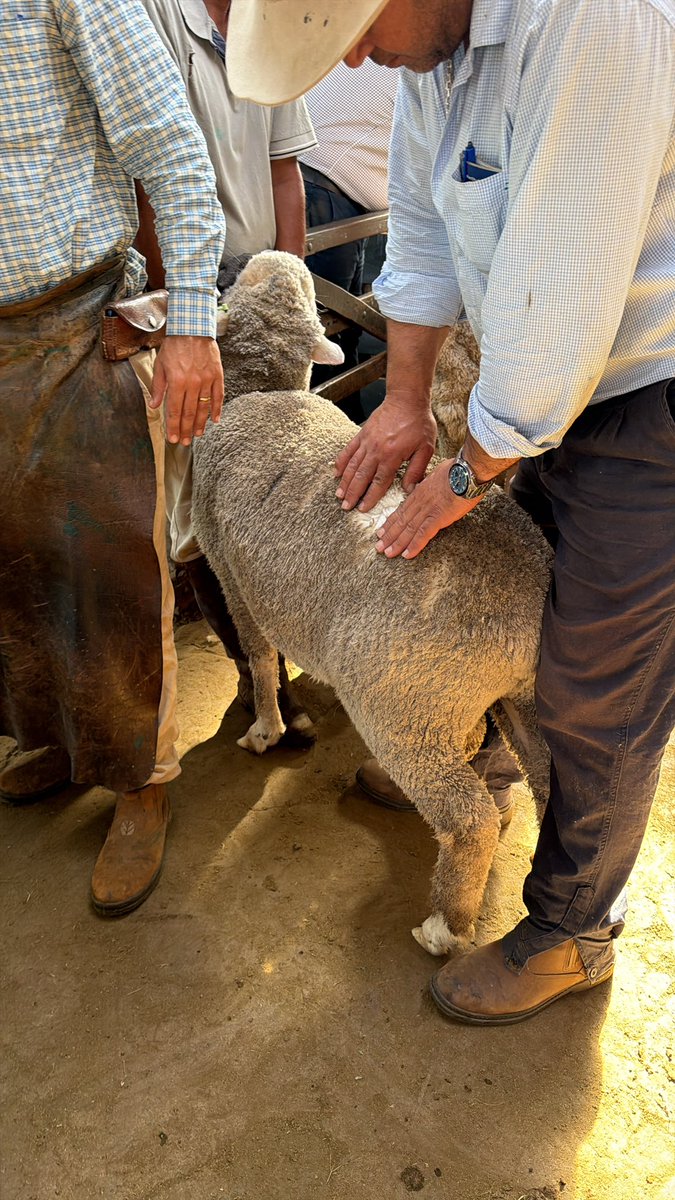 CerroDelBombero (@bomberodel) on Twitter photo 