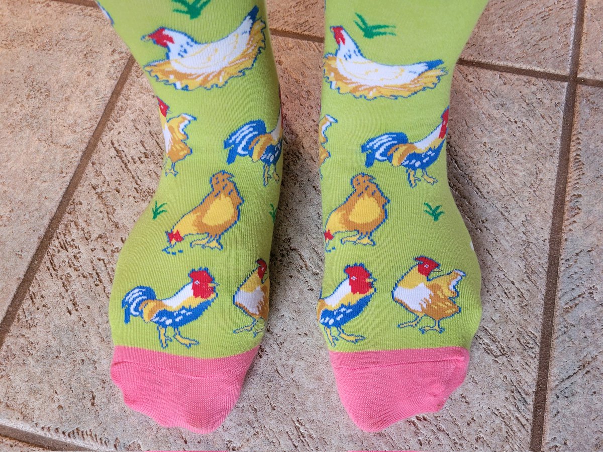 rileyranchca's tweet photo. Check out these awesome gifts from my coworker! https://t.co/Lp4xOGL86c