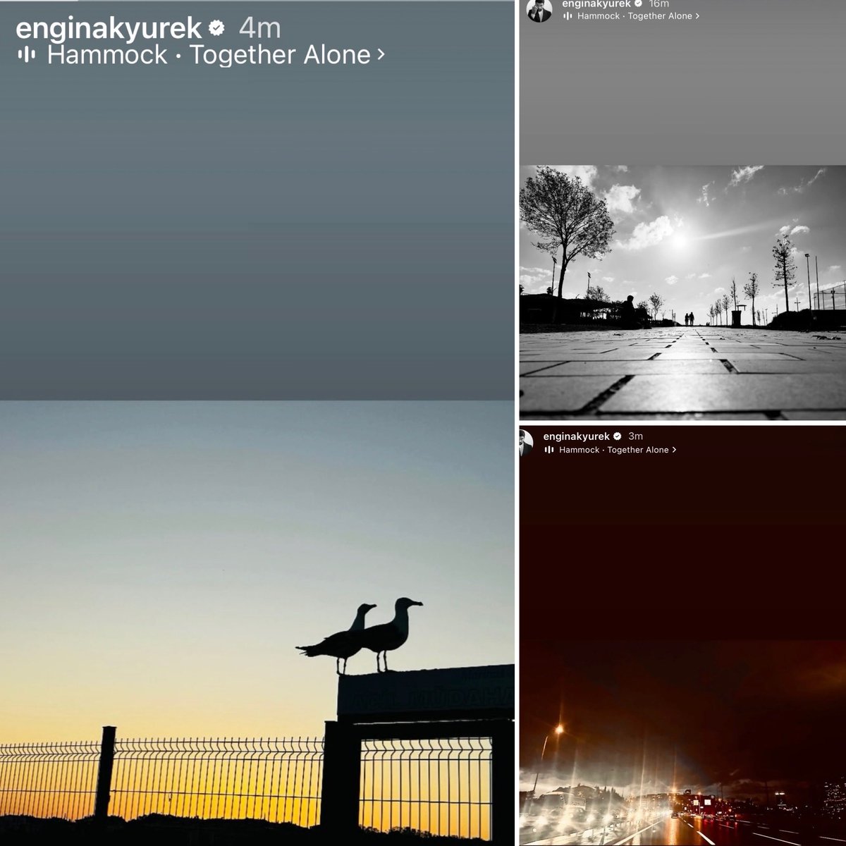 “We could feel alone when we were together, alone against the others. We were never lonely and never afraid when we were together." 
(“Jane Eyre”)

Engin Akyürek’s most recent post focuses in on two seagulls…a photo that is visually romantic in feeling. Adding to the overall