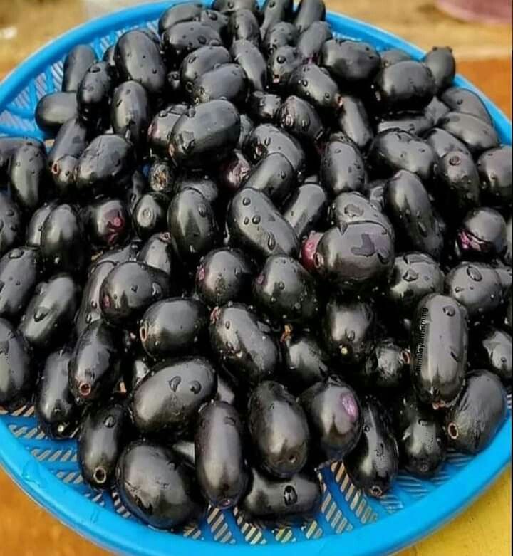 mubeen477's tweet image. Can you guess this fruit's name?