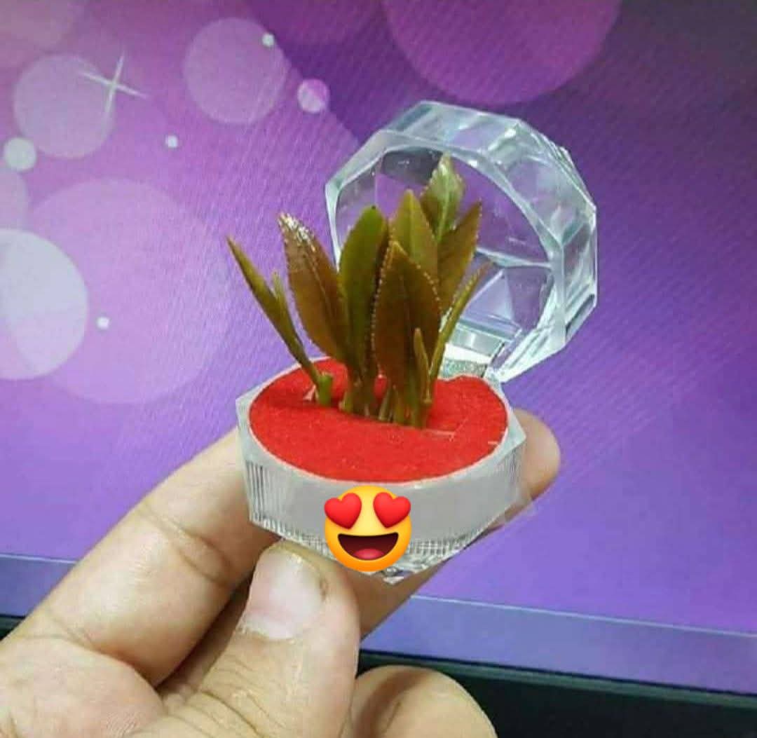 اي صنعانيه ودها اخطبها بهذا الخاتم خااااص ولها احلا مصروف