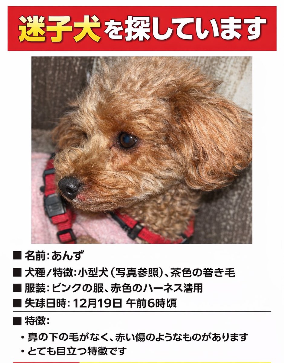 うみ🐩 (@reisa098) / Posts / X