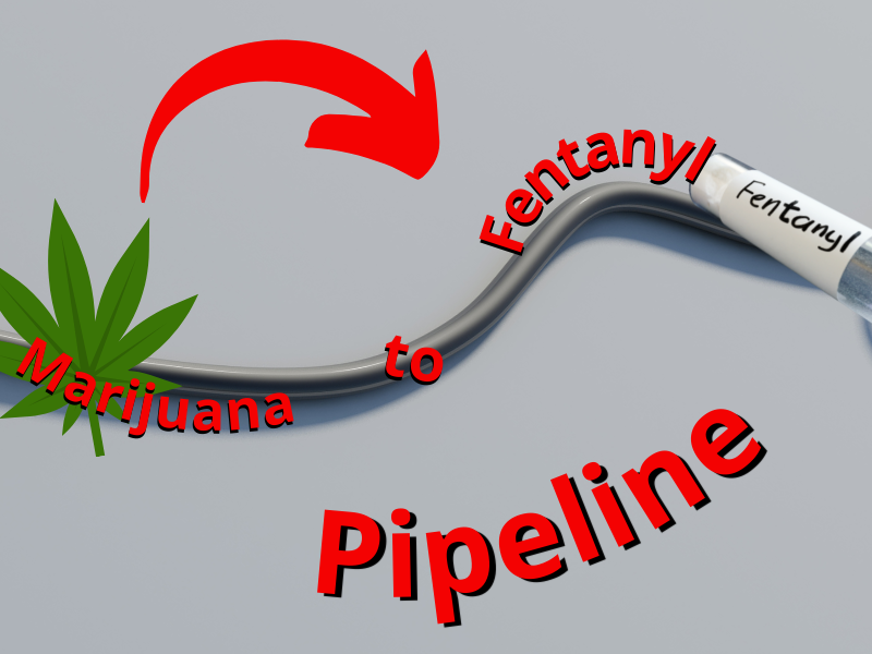 PoppotGroup's tweet photo. There's a marijuana to fentanyl pipeline which is all over the country but especially strong in California #stoppot.https://t.co/lIvo4Ezxxi https://t.co/ia4XG4FZYl