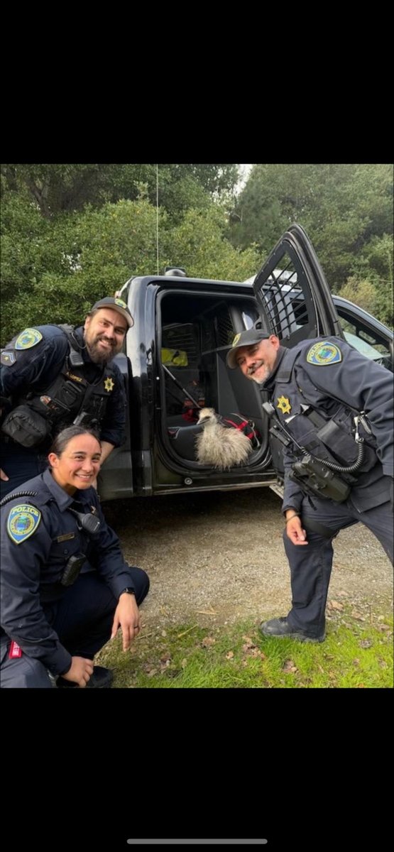 East Bay Regional Park District Police Department tweet media