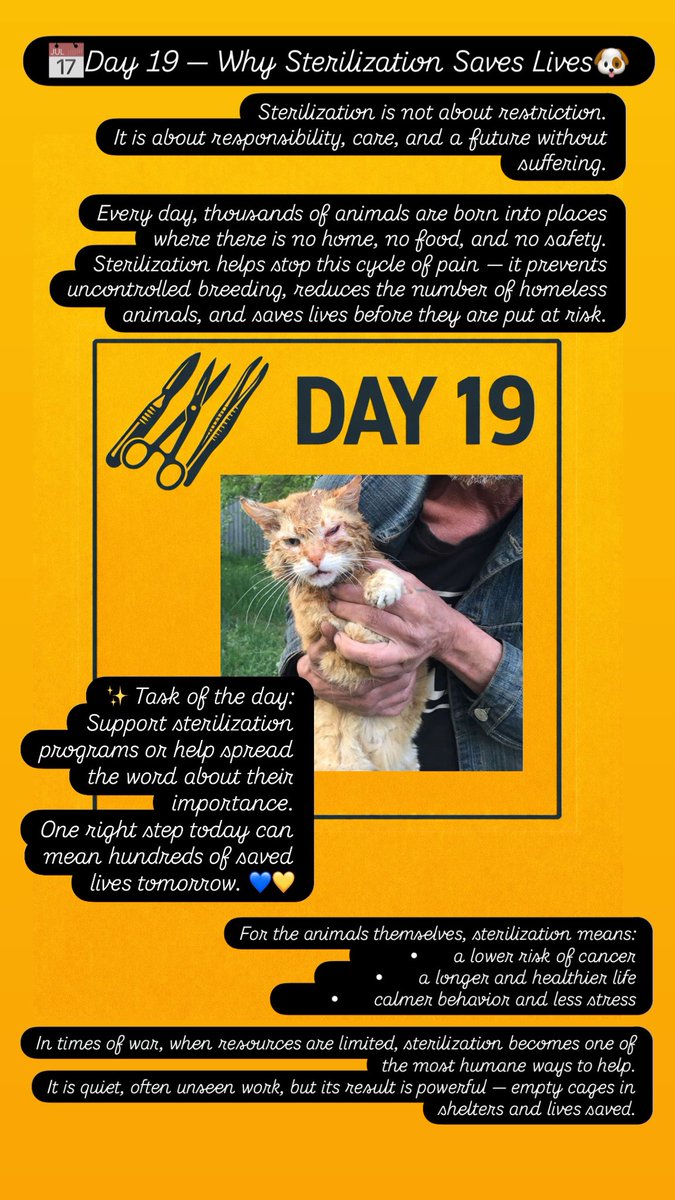 📅Day 19 🐶
Sterilization saves lives.
One procedure today prevents hundreds of animals from suffering tomorrow.
Support humane sterilization — donate to protect their future. 🐾
Every small help matters.
