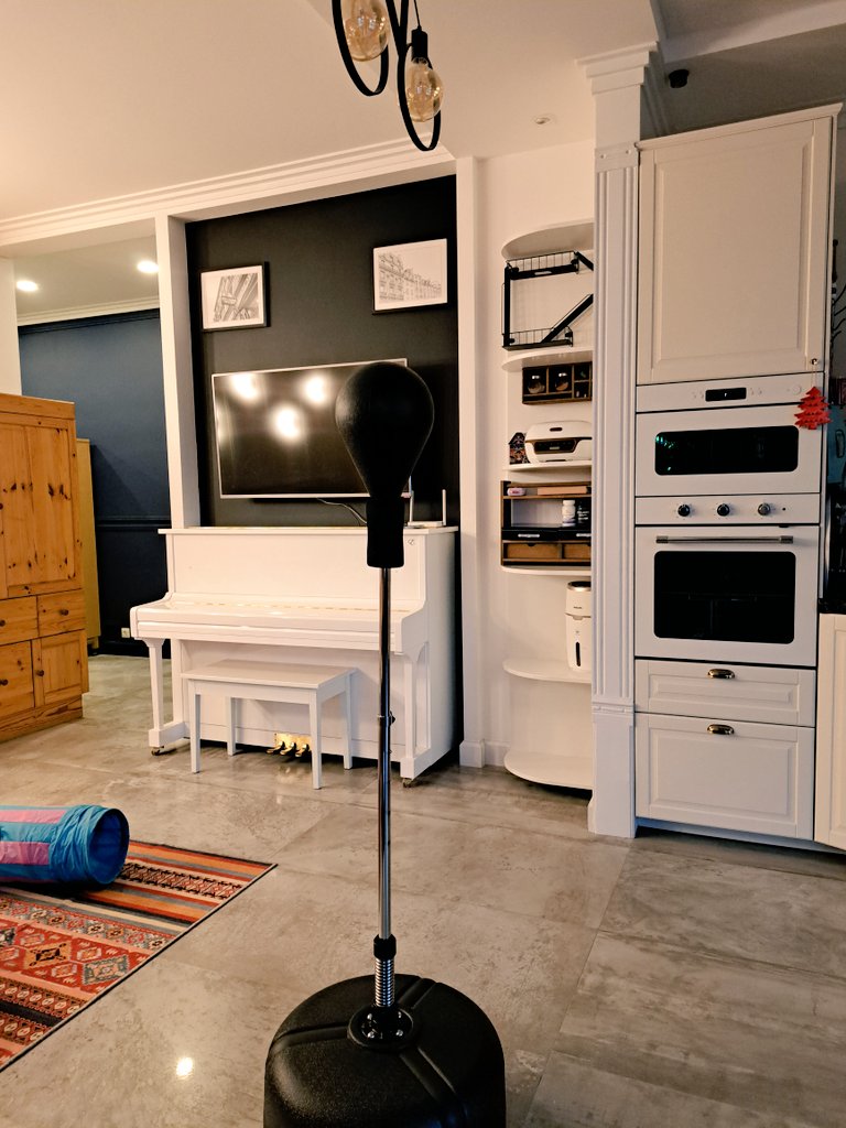 Пол года назад кто-то пересмотрел сиквел Рокки и в итоге вот че на кухне поселилось

Молимся, чтоб рядом клюшка не нарисовалась ввиду всего происходящего😆