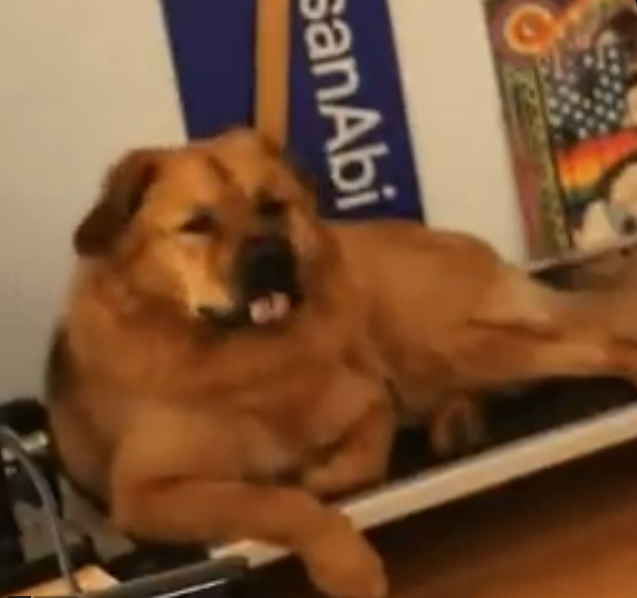 no chatgpt for me thanks. i'll be asking kaya