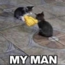 Syndicate tweet media