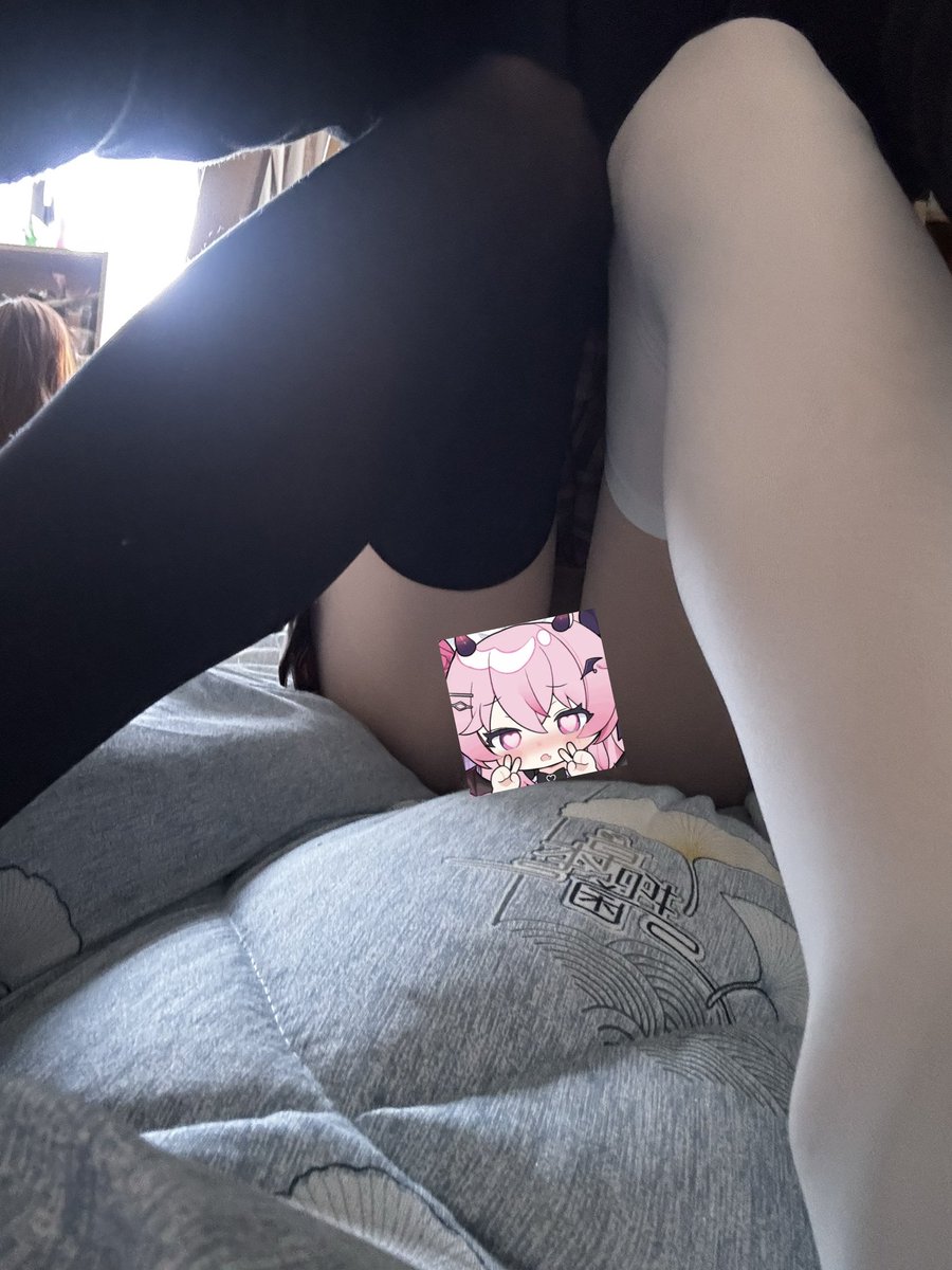世界第一鱼仔殿下 tweet media