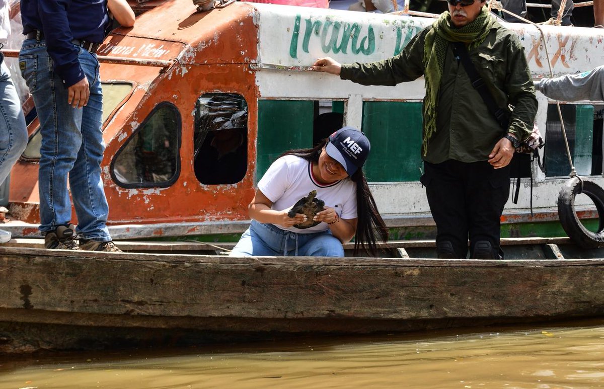 MEF_Peru's tweet image. #Loreto 🌿🐢 | Un nuevo hito para la Amazonía
En Iquitos se culminó la primera fase del primer proyecto ecológico sostenible vía Obras por Impuestos, orientado a la conservación de la taricaya. La jornada incluyó la liberación de 105 mil ejemplares y contó con la participación de