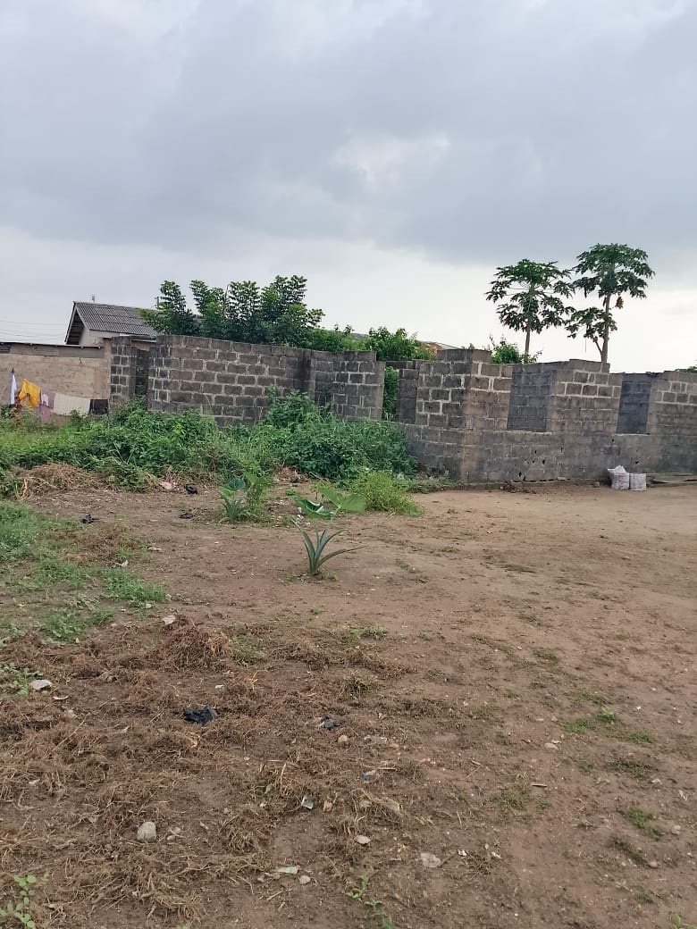 BigTeeana's tweet photo. Day 6 of posting my mommy land , so she can find a buyer 
Location : Ibogun Fashina , Off OOU campus , Ogun state . 
Price : 5m naira ( slightly negotiable) 
A plot of land https://t.co/fEcajwoNAN