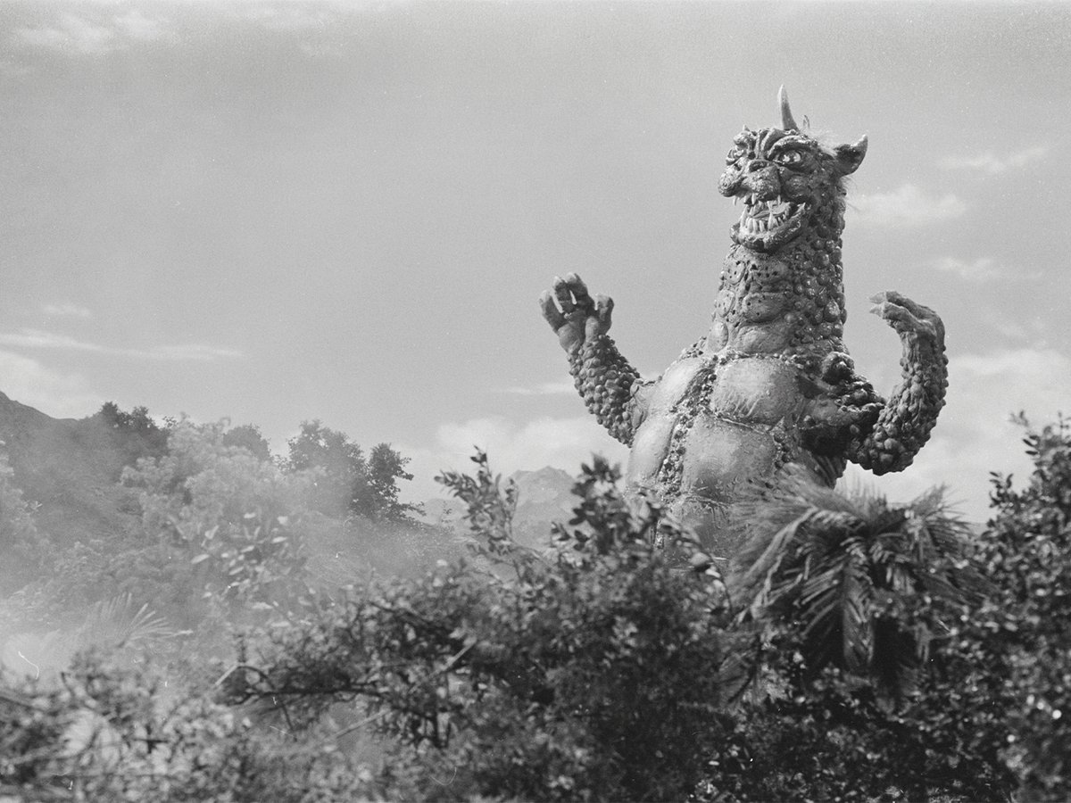 Today in 1969, All Monsters Attack debuted, telling the story of a young  boy who escapes everyday struggles through imagined adventures on Monster  Island, where he befriends Minilla and faces Gabara., image size:1200x900