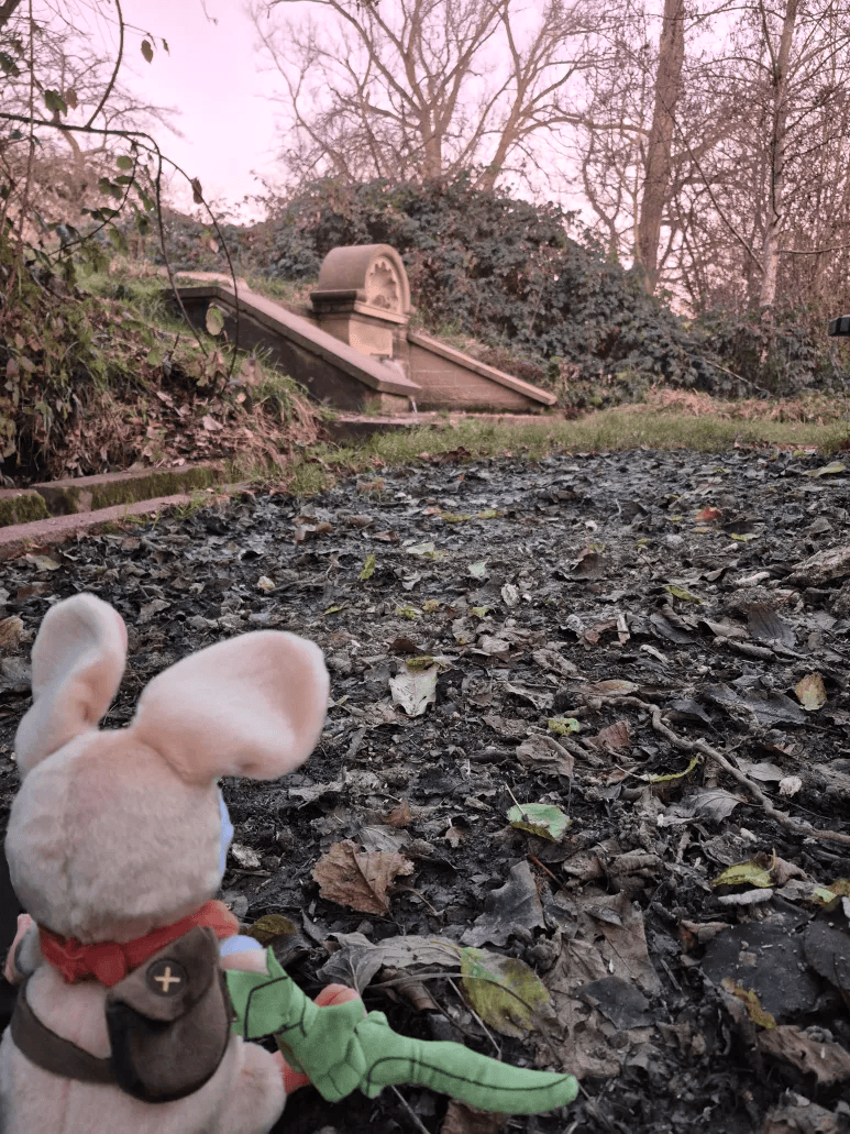 Polyarc Games | Moss and Glassbreakers 🌿 tweet media