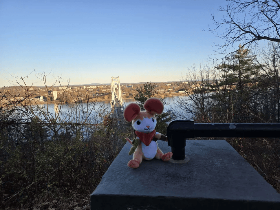 Polyarc Games | Moss and Glassbreakers 🌿 tweet media