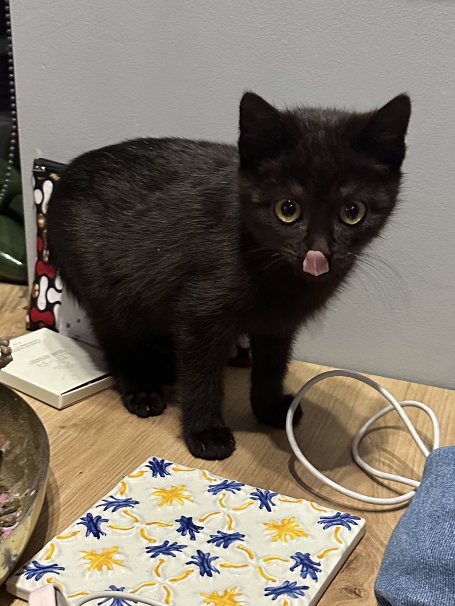 Сипте на общєє

send.monobank.ua/jar/2sggSjjHRS