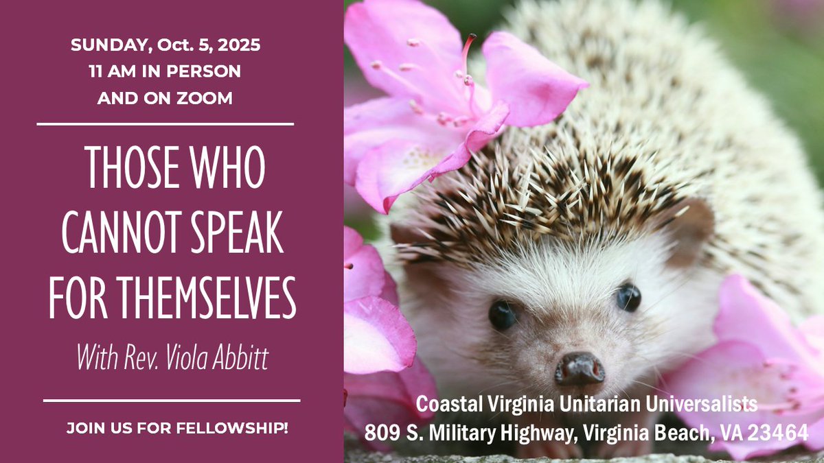 Road obstruction - mailchi.mp/7e04f75feea0/a…