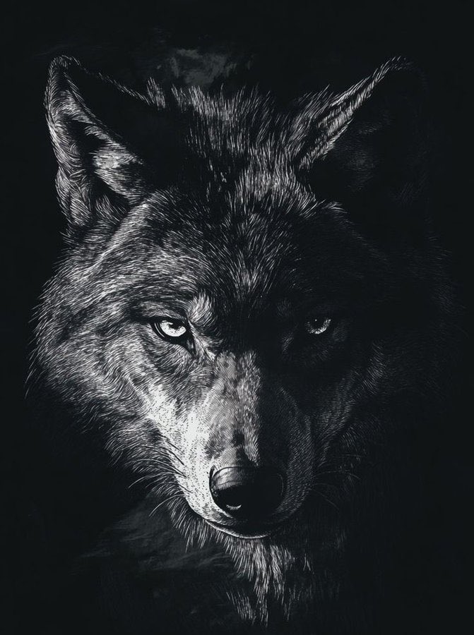 "İtin sahibi varsa, Kurt'un Tanrısı var."

- Cengiz Aytmatov

🇹🇷