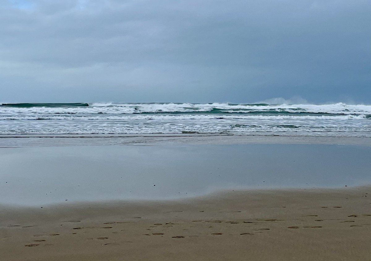 Pascale Petit FRSL🐅🌳🦜🌳🐆 tweet media