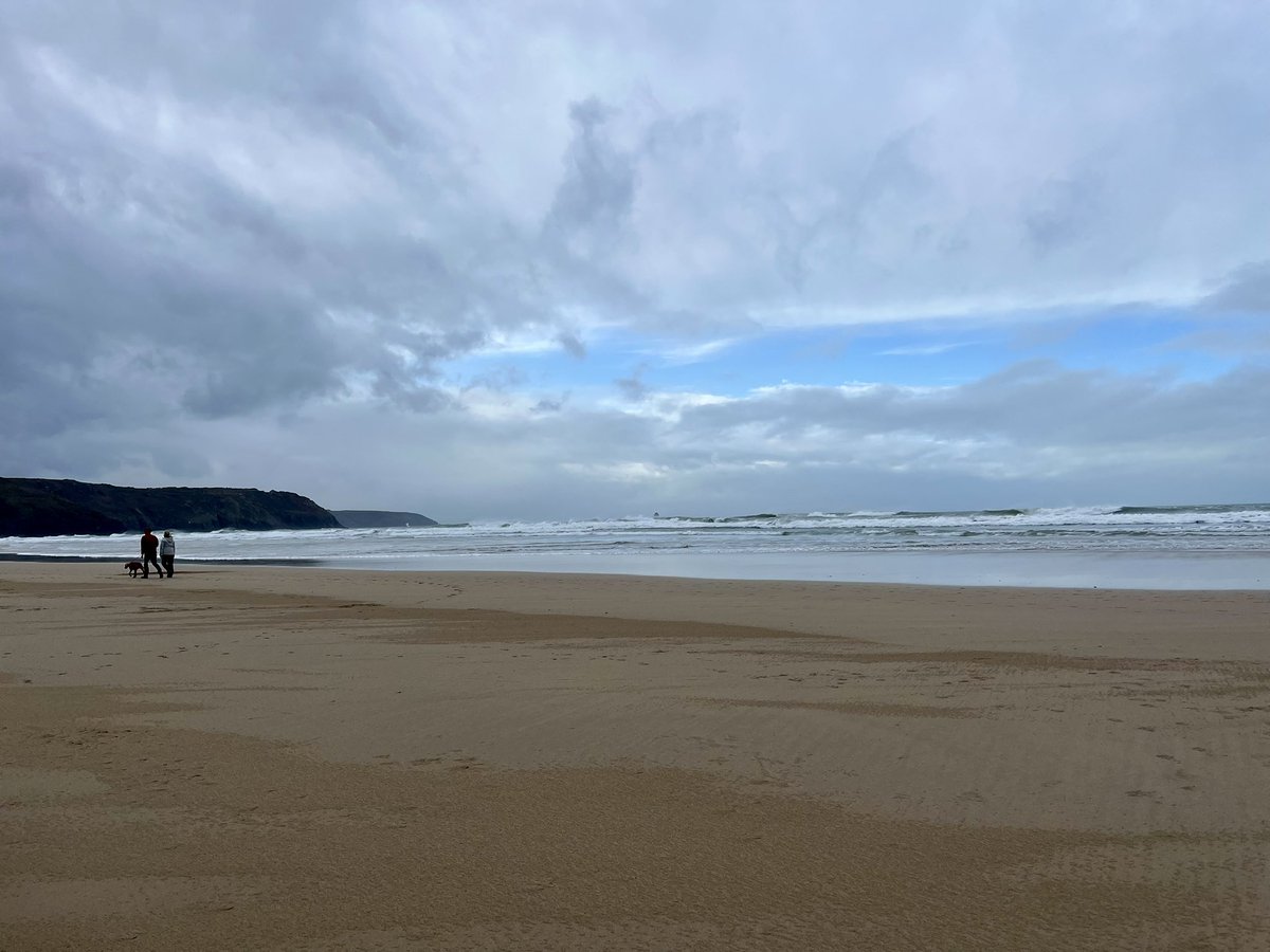 Pascale Petit FRSL🐅🌳🦜🌳🐆 tweet media