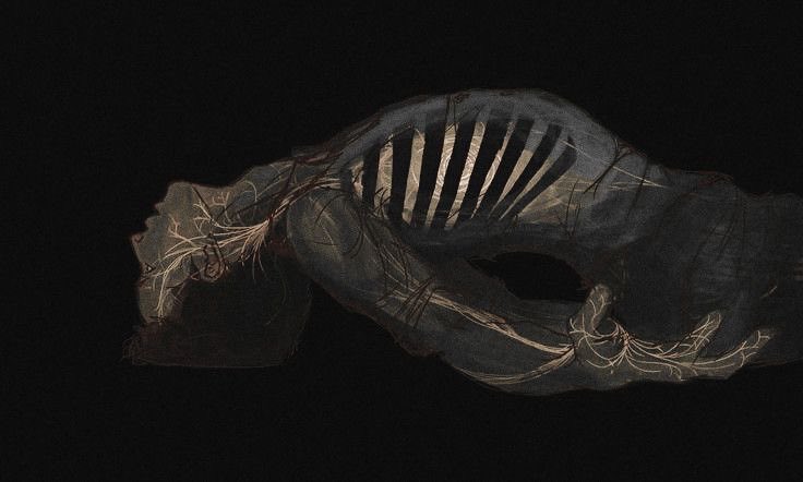 Kimseden değil kendimden öğrendim.
￼ 
—Aristoteles.