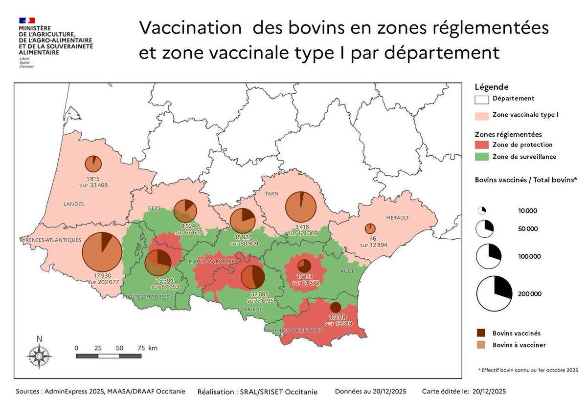 Ce soir, près de 50% du cheptel ariégeois est vacciné contre la Dermatose Nodulaire Contagieuse (DNC). Dans l’Aude, nous dépassons les 70 % tandis que 100 % du cheptel est protégé dans les Pyrénées-Orientales.

Au total, près d’1 bovin sur 5 est vacciné dans les dix départements
