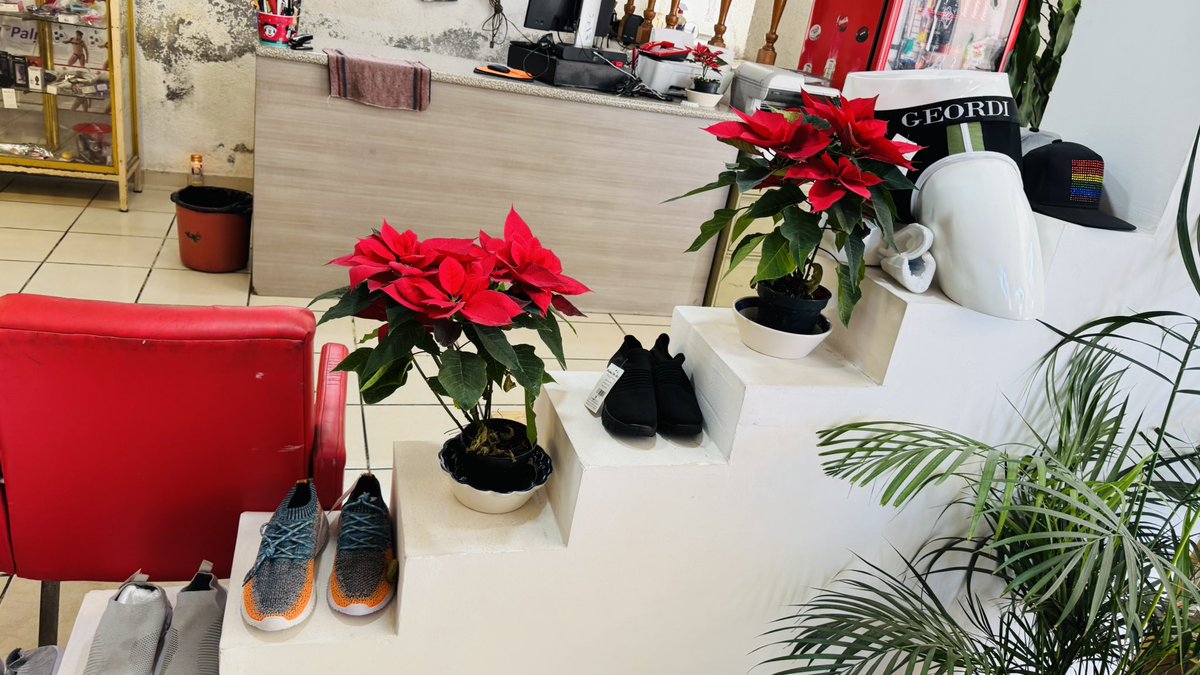 DeInterios's tweet image. Este 24 de diciembre tendremos descuentos desde 20, 30 y 50 %  estará abierto hasta las 8:00 pm. 
"FELIZ NAVIDAD"