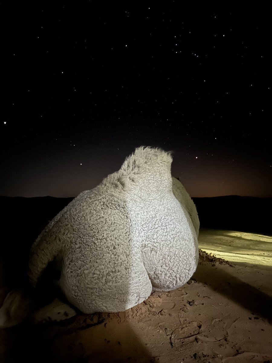 Ghith90's tweet image. "ساجنٍ من عزّة النفس في صدري كلام
مايفكّه جاه أكابر.. ولا مال أثريا ".