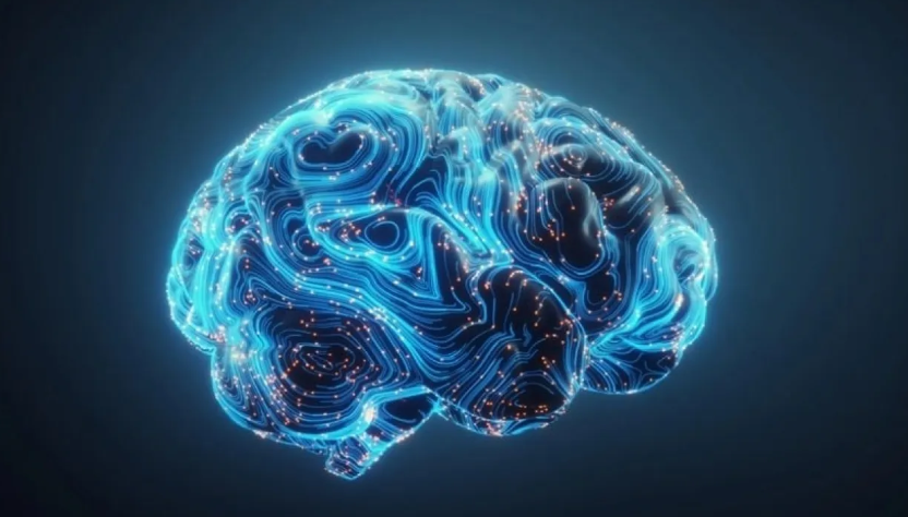 4 عادات يومية بسيطة تؤخر شيخوخة دماغك 8 سنوات 